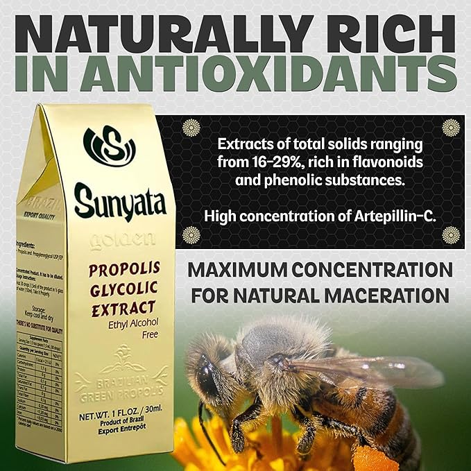 Sunyata Brazilian Green Bee Propolis Liquid Extract – No Alcohol Natural Immune Support &amp Antioxidant Concentrate 30ML (1 Pack)