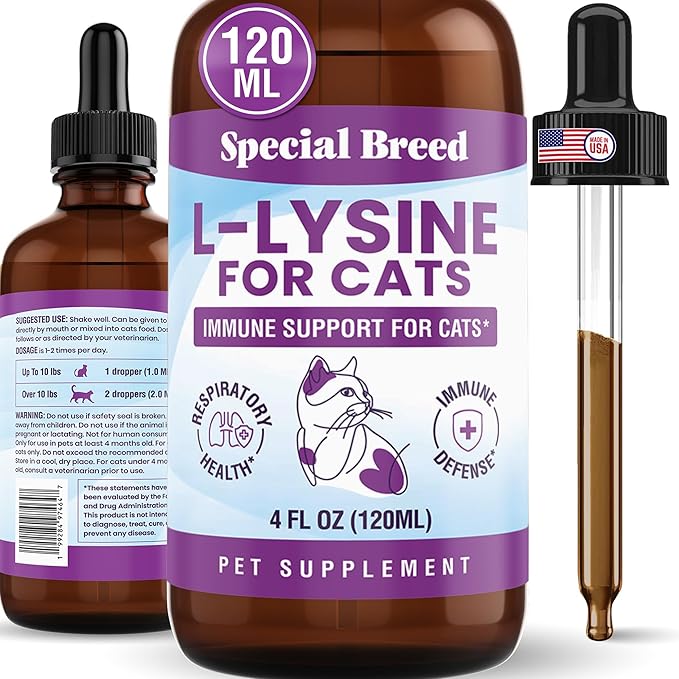 L-Lysine Supplement for Cats &amp Kittens – Immune Support Liquid for Feline Respiratory Health Sneezing Runny Nose &amp Watery Eyes – 250mg Lysine Cat Drops with Vitamins Complex – Chicken Flavor