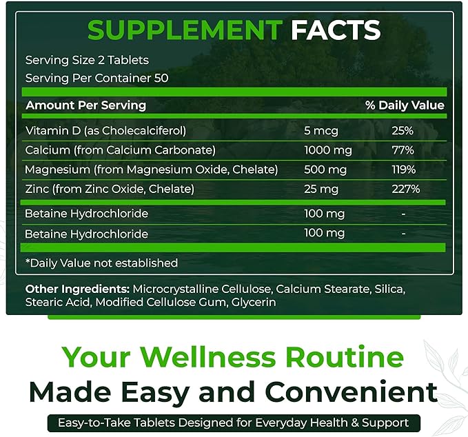 Natural Nutra Calcium Magnesium Zinc with Vitamin D3 - CMZ Supplement | Bone Strength Immune Support Muscle &amp Nerve Health - Cal-Mag Zinc Supplement - Digestion Support - 250 Tablets (Pack of 2)