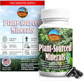 Fulvic Humic Mineral Blend of Plant-Sourced Trace Minerals Electrolytes Gut Health Cognitive &amp Immune Support Pure Vitality Formula for Strength - 120 Capsules