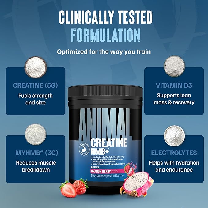 Animal Creatine HMB Powder – 3g myHMB + 5g Creatine with Electrolytes for Recovery &amp Daily Energy – Dragon Berry Flavor 30 Servings