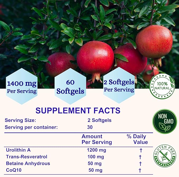 Nikoni Liposomal Urolithin-A Supplement 1400mg Supports Healthy Aging Cellular Renewal &amp Muscle Health- 240 Softgels