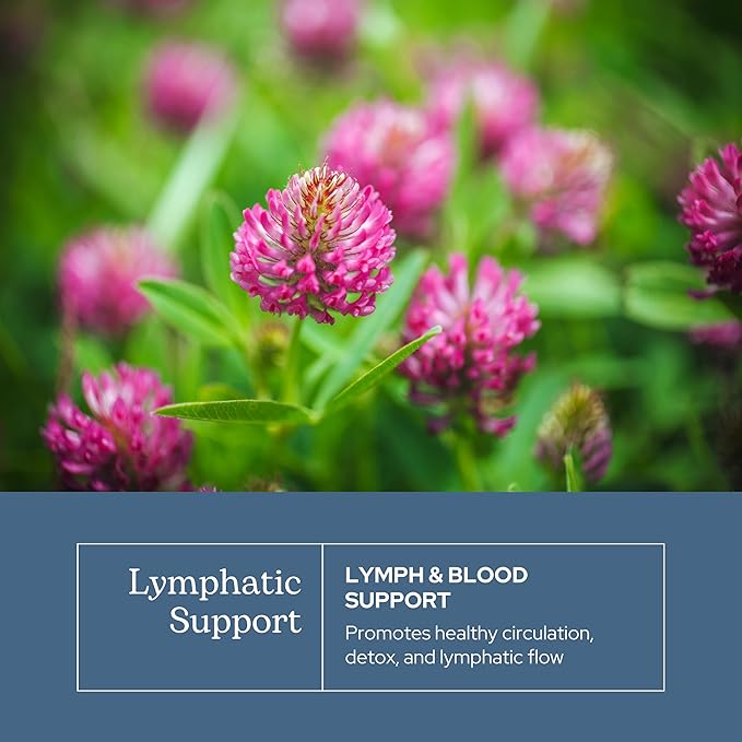Eclectic Herb - Lymph &amp Blood Cleanse | Lymphatic &amp Circulatory Support | Freeze Dried Concentrated Herbal Supplement | Natural Wildcrafted Non-GMO Gluten Free Vegan (45 CT | 285 mg)