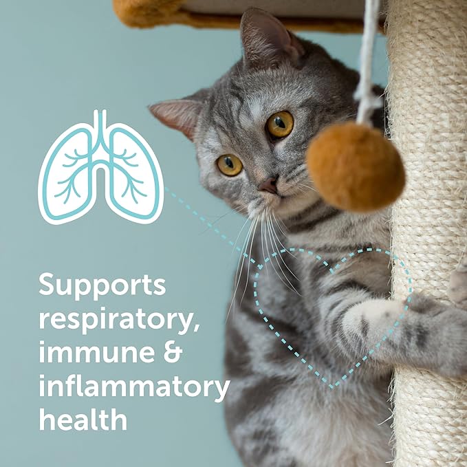 Immuno-5 Immune &amp Respiratory Support Powder for Cats from Veterinarian Recommended Solutions with L-Lysine Omega-3 &amp Egg Yolk