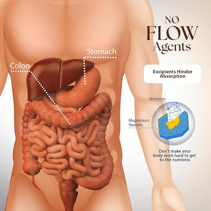 Dr. Clark Pancreatin 8X Enzyme Supplement 500mg | Several Digestive Aids Formulas Promotes Proteins Fat | Carbohydrates Healthy Supports Optimal Digestion - 100 Gelatin Capsules