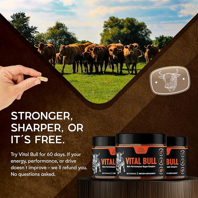 Vital Bull Beef Organ Supplement for Men with Grass Fed Liver Testicle Prostate &amp Bone Marrow – Freeze Dried Beef Organ Capsules for Nutrient Support – 30 Day Supply