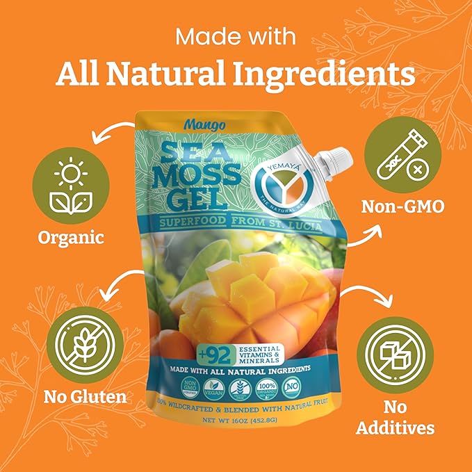 Yemayá Organic Sea Moss Gel Mango | Wildcrafted Seamoss Gel Enhanced with Real Fruit Energy Digestion Hair Skin &amp Nails | Mango Flavor 16 oz