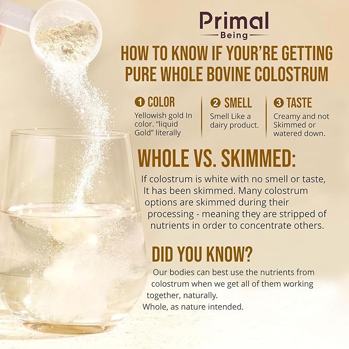 Primal Being Grassfed Beef Colostrum - Supports Immune Function Gut Health Hair Anti-Aging Athletic Performance Recovery - 90 Grams unflavored Powder 3000 mg per Serving