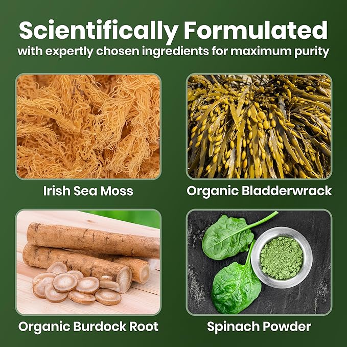Cured Sea Moss Gummies | Made in America w/Raw Sea Moss Bladderwrack &amp Burdock Root | Potent Seamoss Gummies for Immune Gut &amp Skin Health | 3X Stronger Than Gel | 30 Day Supply