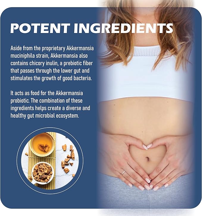 Akkermansia Probiotic with Prebiotic Fiber - Increases GLP-1 Production Delayed Release Third-Party Tested 100M AFU Live Strain for Gut Health for Men &amp Women (2pcs)