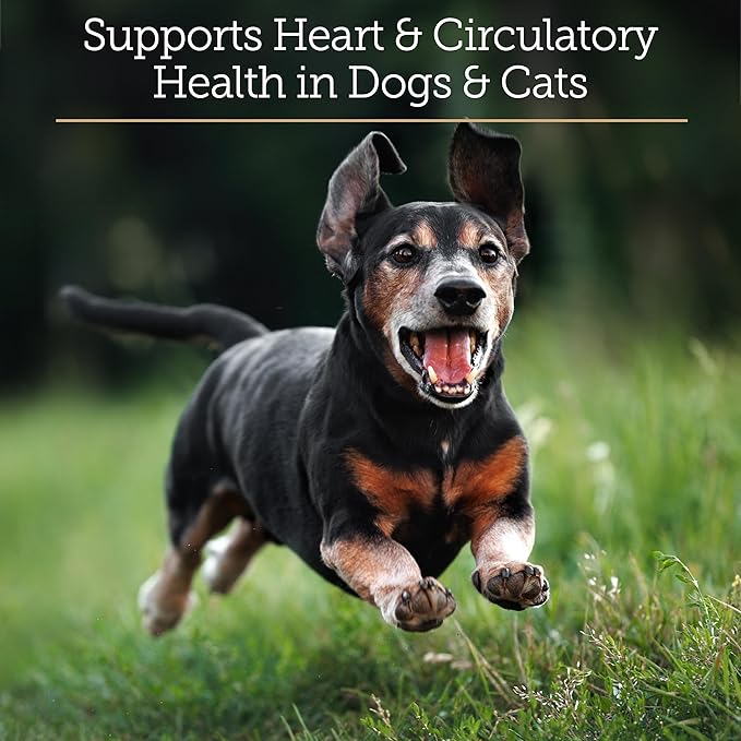 Rx Vitamins CoQ1030 - Coenzyme Q10 for Dogs &amp Cats - 100% Pure Ubiquinone Cat &amp Dog Heart Supplements - Promotes Cardiovascular Function and Antioxidant Support - 30 softgels