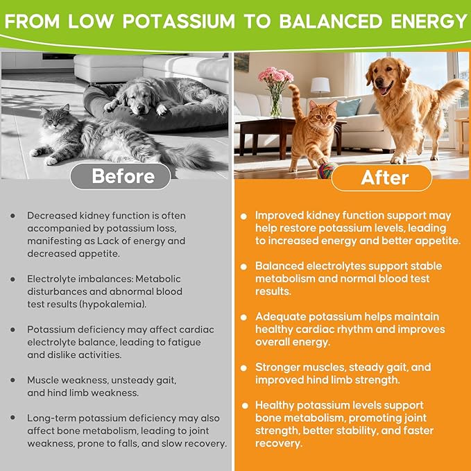 Renal K Potassium Gluconate for Dogs &amp Cats – 2.2 mEq per Scoop – Supports Kidney Function Restores Potassium Levels – Boosts Energy – Muscle Strength – Vet-Recommended