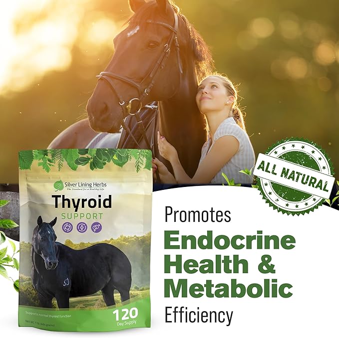 Silver Lining Herbs Thyroid Support for Horses – Herbal Horse Supplement for Normal Thyroid Function Hormone Balance &amp Healthy Metabolism with Irish Moss Kelp Parsley – 120-Day Supply