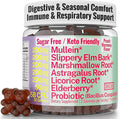 SHIZAM Slippery Elm Mullein Leaf Marshmallow Root Licorice Root Astragalus Root Elderberry &amp Probiotic Bacillus Coagulans Gummies – Sugar-Free Keto-Friendly Vegan - Gymnema Sylvestre