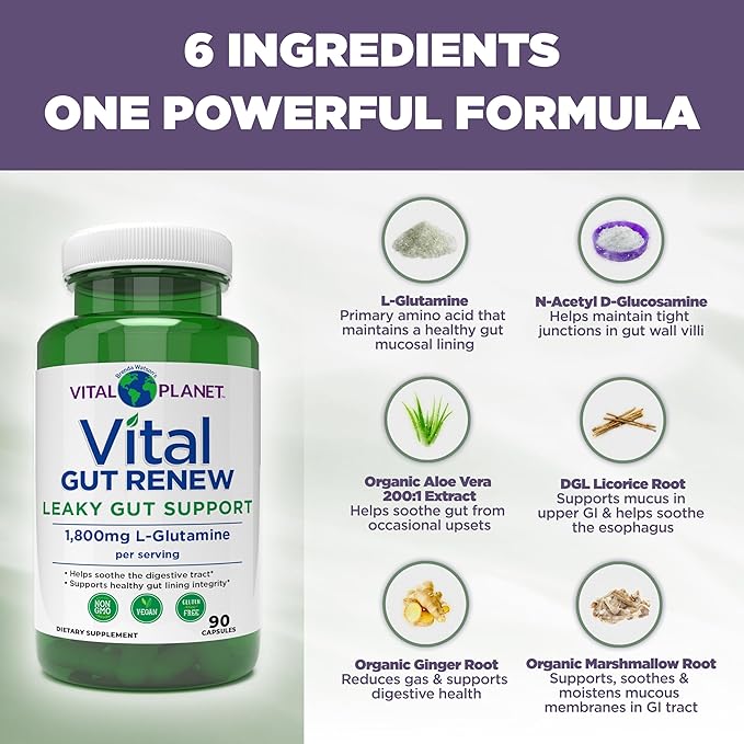Vital Planet - Vital Gut Renew Capsules Supplement for Leaky Gut Repair with L-Glutamine Marshmallow and Ginger Root DGL Licorice Root and Organic Aloe Vera L Glutamine 1800mg 90 Capsules