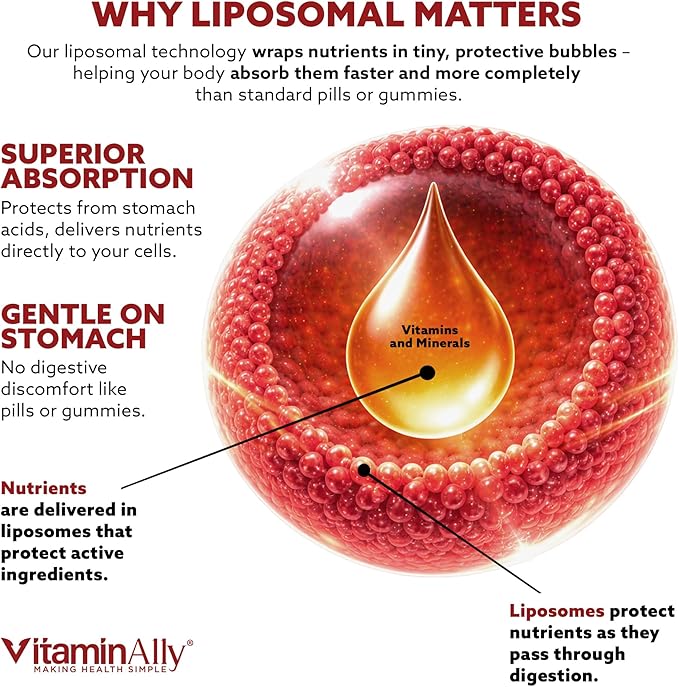 Liposomal Men's 50+ Liquid Multivitamin Drops | Non-GMO | Sugar Free | Gluten Free | 30 Day Supply | 3 FL Oz | Supports Brain Health Immunity and Energy Production