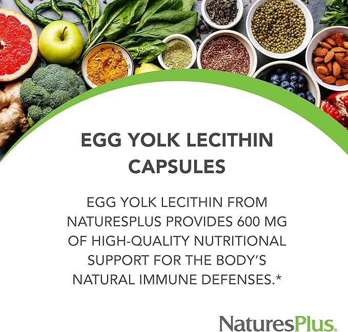 NaturesPlus Egg Yolk Lecithin - 600 mg 180 Capsules - Soy Free Gluten Free - 90 Servings