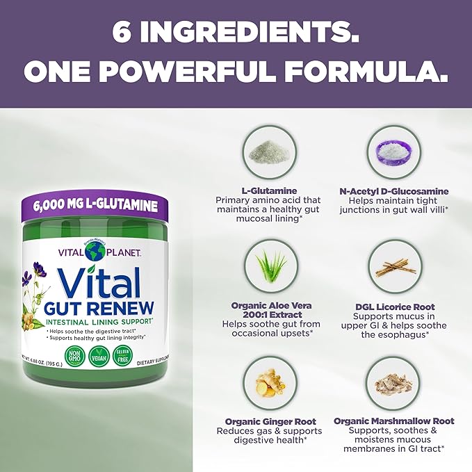 Vital Planet - Vital Gut Renew Powder Supplement for Leaky Gut Repair with L-Glutamine Marshmallow and Ginger Root DGL Licorice Root and Organic Aloe Vera L Glutamine 6000mg 6.88 oz