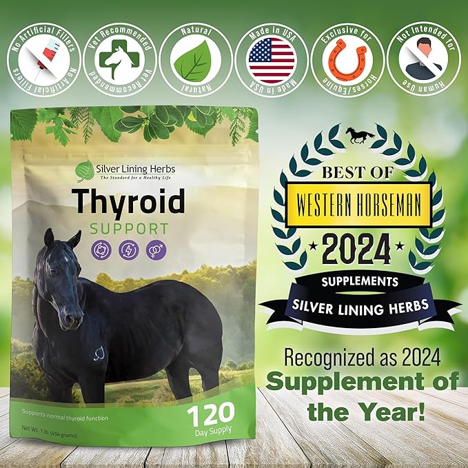 Silver Lining Herbs Thyroid Support for Horses – Herbal Horse Supplement for Normal Thyroid Function Hormone Balance &amp Healthy Metabolism with Irish Moss Kelp Parsley – 120-Day Supply