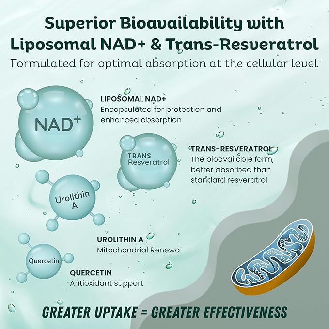NAD Supplement Pure Organic | NMN Supplement Alternative | Boost Energy &amp Cellular Health | Urolithin A Resveratrol Quercetin for Antioxidant Power | for Women and Men