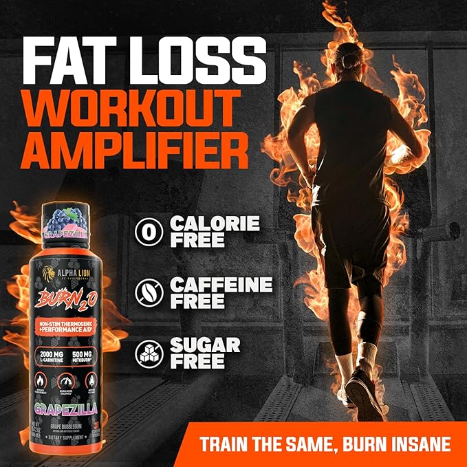 ALPHA LION Burn2O L-Carnitine Liquid 2000mg – Stim Free Super Thermogenic Fat Burner with MitoBurn® &amp CaloriBurn GP® Metabolism Booster Zero Calorie Sugar-Free (31 Servings Grapezilla Flavor)