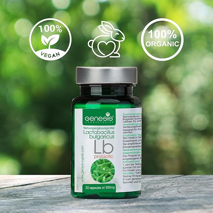 LB Probiotic Daily Lactobacillus Bulgaricus Supplement for Gut Health &amp Digestive Support Probiotic for Women &amp Men to Support Immune System Shelf Stable 240 Mg per capsule 90 caps
