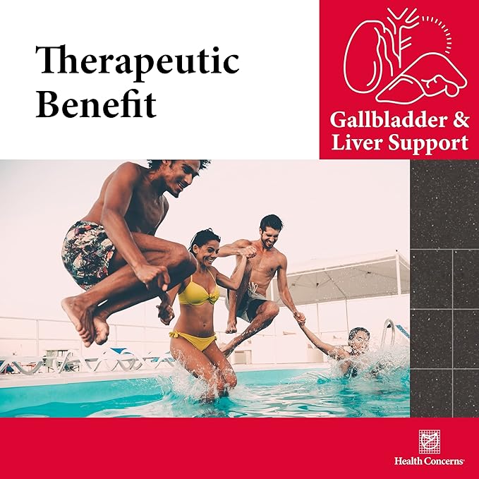 Health Concerns GB-6 – Gallbladder Support Supplement – Chuan Lian Zi Herbal Formula – Natural Gallstone Support – Bupleurum Turmeric Dandelion Root Extracts– Chinese Herbal Capsules – 90 Capsules