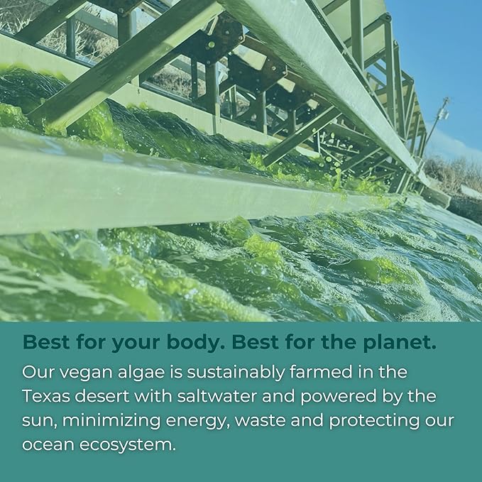 Iwi Omega-3 Mini Softgels (30 Servings) Easy to Swallow Plant-Based Algae Omega 3 with EPA + DHA Whole-Body Support Dietary Supplement Krill &amp Fish Oil Alternative No Fishy Aftertaste