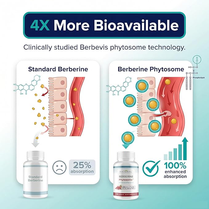 Berberine Phytosome with Berbevis 550mg Enhanced Absorption Supplement for Metabolic Support &amp Heart Health Highly Bioavailable Berberine Complex Gluten-Free Non-GMO 60 Vegetarian Capsules