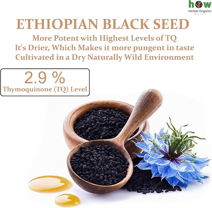 Ethiopian Black Seed Oil 8oz – Cold Pressed Nigella Sativa | High Thymoquinone 3.45% Black Cumin Seed Oil | 100% Pure Unrefined Liquid | Immune Skin Hair &amp Digestive Support | Glass Bottle