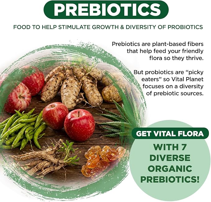 Vital Planet - Vital Flora Adults Over 55 Daily Probiotic 60 Billion CFU Diverse Strains Organic Prebiotics Immune and Digestive Health Shelf Stable Probiotics for Women and Men 30 Capsules