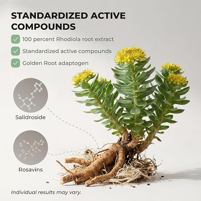 Rhodiola Rosea Supplement – Golden Root Adaptogen Capsules - Rhodiola Rosea Extract Powder Alternative with Salidroside for Stress Support - Energy Focus &amp Performance