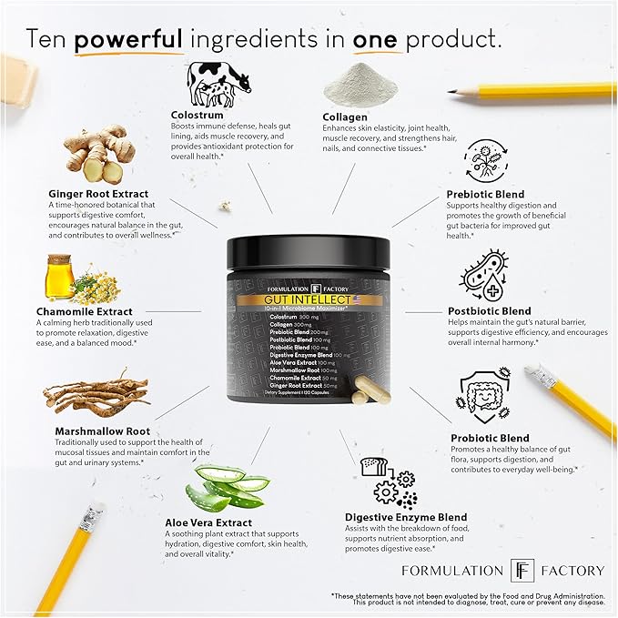 Formulation Factory Gut Intellect 10-in-1 Microbiome Supplement Prebiotics Probiotics Postbiotics Colostrum Collagen Aloe Vera Chamomile Ginger Enzymes Digestive 360 Cap (3 Pack)