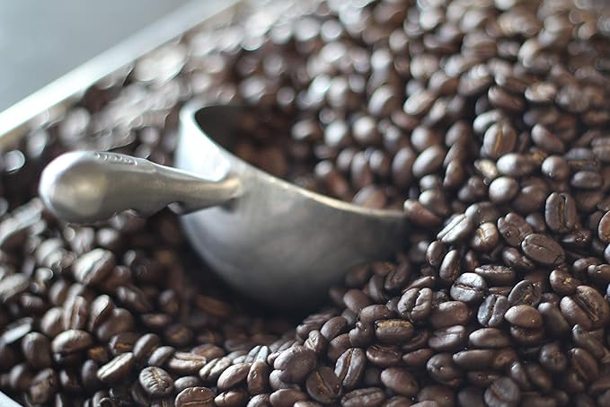 Lee's Coffee Exclusive Whole Bean Mexican Custepec SHG Superior Altura 12 Ounce