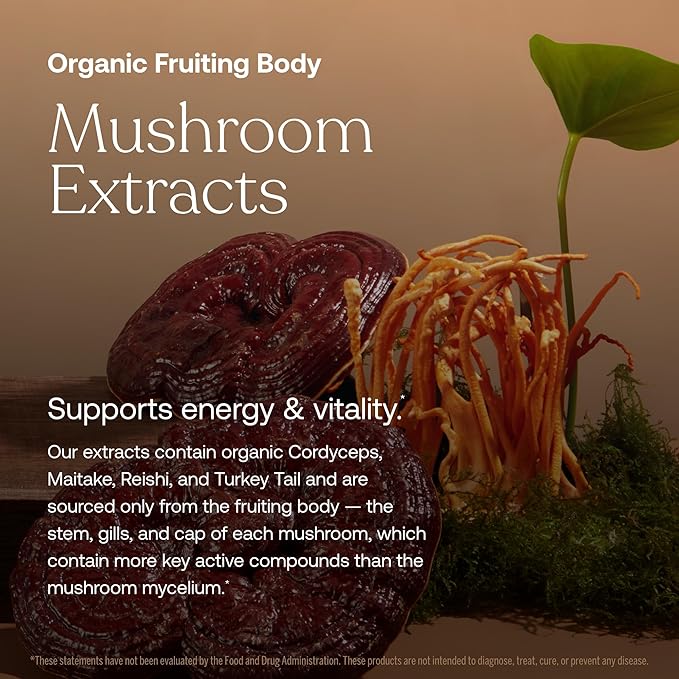 True Grace One Daily Women’s Multivitamin Fermented Minerals Organic Adaptogens &amp Mushrooms Whole Body Balance Immune Energy Beauty Support - Non-GMO Gluten Free Soy Free - 30 Vegan Tablets