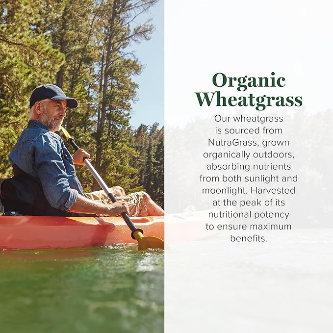 Global Healing Wheat Grass Powder Organic 180g - Nutrient-Dense Raw Wheatgrass Juice Powder (33:1 Extract) with Strong Antioxidants for Immune Support &amp Energy Boost - Cold-Process Non-GMO - 6.3