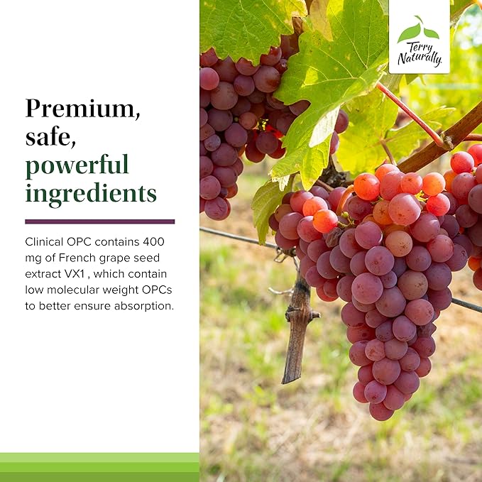 Terry Naturally Clinical OPC Extra Strength - Cardiovascular Health &amp Focus Support - Supplement with Grape Seed Extract - Immune Support Supplement - 60 Softgels (Pack of 3)