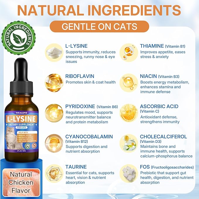 L-lysine Supplement for Cats + Cat Constipation Relief Supplement Liquid Cat Health Supplements for Immune Respiratory &amp Digestive Support Chicken Flavor 2 Fl Oz Each