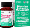 Akkermansia Muciniphila + Probiotic Postbiotic &amp Inulin - Gut Health Supplement for Digestion Immune Support - 10 Billion CFU Vegan &amp Gluten-Free