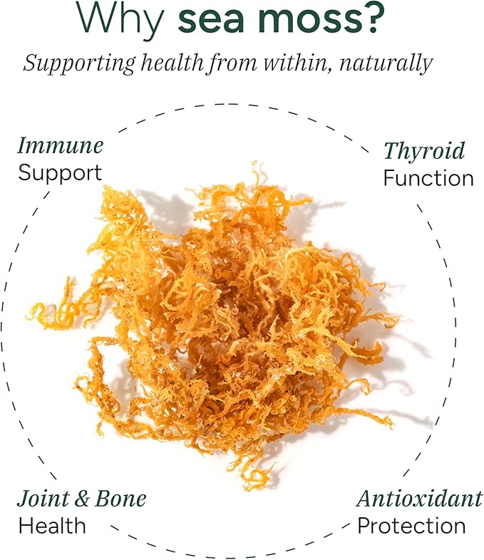 Sea Moss Gummies I 92+ Minerals I Black Seed Oil I KSM 66 Ashwagandha I Lab Tested I No Added Sugar | for Men Women I Non-GMO I 100% Natural &amp Organic I 1600 mg I 120 Gummy