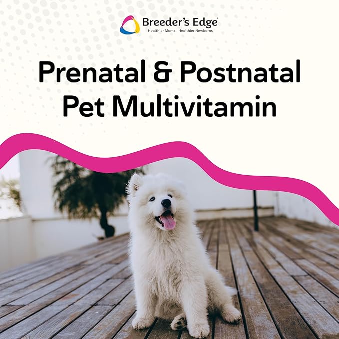 Breeder's Edge Breed to Wean Prenatal and Postnatal Multivitamin for Dogs &amp Cats Supports Pregnant &amp Nursing Moms Supplement Provides Antioxidants Vitamins &amp Minerals 400ct for Cats &