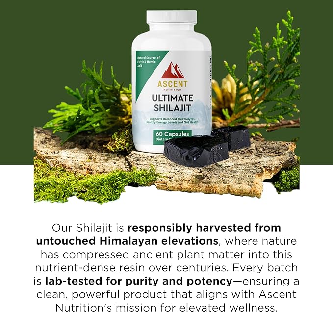 Ascent Nutrition Ultimate Shilajit | Natural Source of Fulvic &amp Humic Acid | Supports Balanced Electrolytes Healthy Energy Levels and Gut Health | 60 Capsules