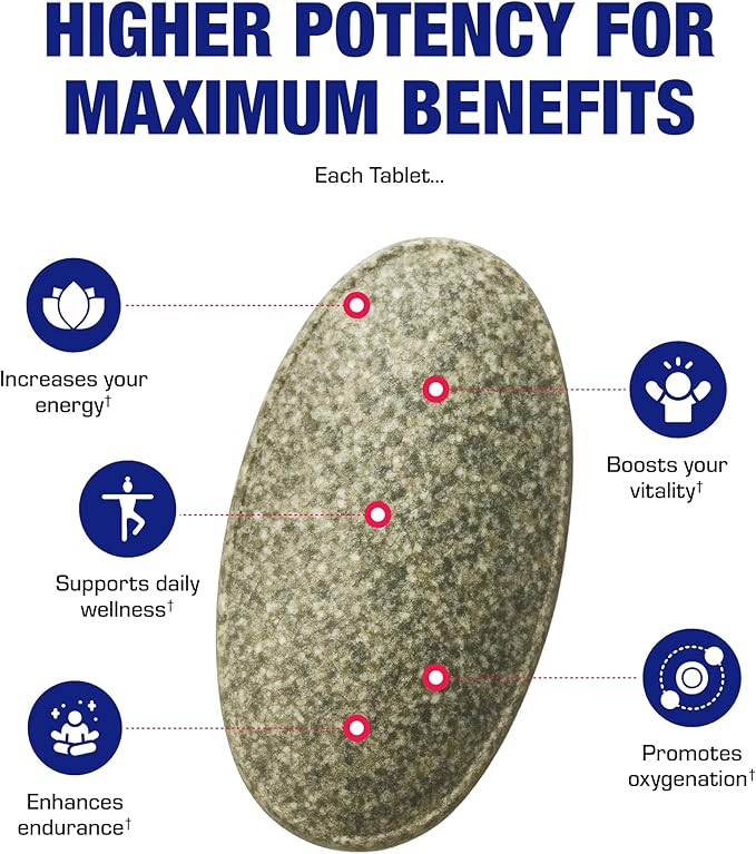 Slow Release Iron Supplement with Vitamin C - High Absorption Gentle Iron with Vitamin C for Women with Methyl B Complex for Maximum Benefits - Stomach Friendly Vegan &amp Made in The USA - 60 Servin