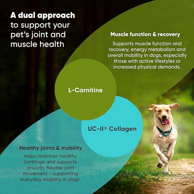 Rooted Owl Joint and Muscle Support for Large Dogs (Over 30 Lbs) - Supplement with UC-II Type II Collagen and L-Carnitine - 30 Count