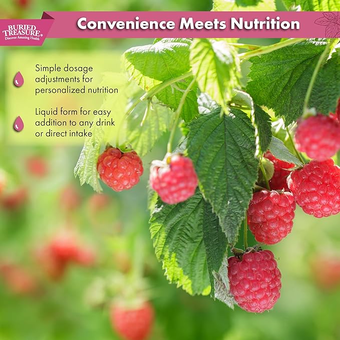 Buried Treasure Fulvic Mineral Complex - 32oz Natural Raspberry Flavor with Over 70 Plant Derived Minerals Non-GMO Electrolyte Replacement Vegetarian Safe Daily Essential and Trace Minerals