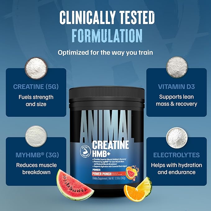 Animal Creatine HMB Powder – 3g myHMB + 5g Creatine with Electrolytes for Recovery &amp Daily Energy – Power Punch Flavor 30 Servings