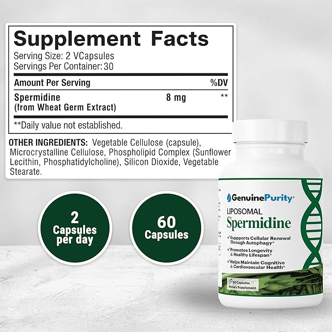 Liposomal Spermidine 8mg Supplement - 60 Capsules for Cellular Renewal and Healthy Aging - Spermidine-Rich Wheat Germ Extract for Women and Men - Gluten Free Vegan Made in USA Non-GMO
