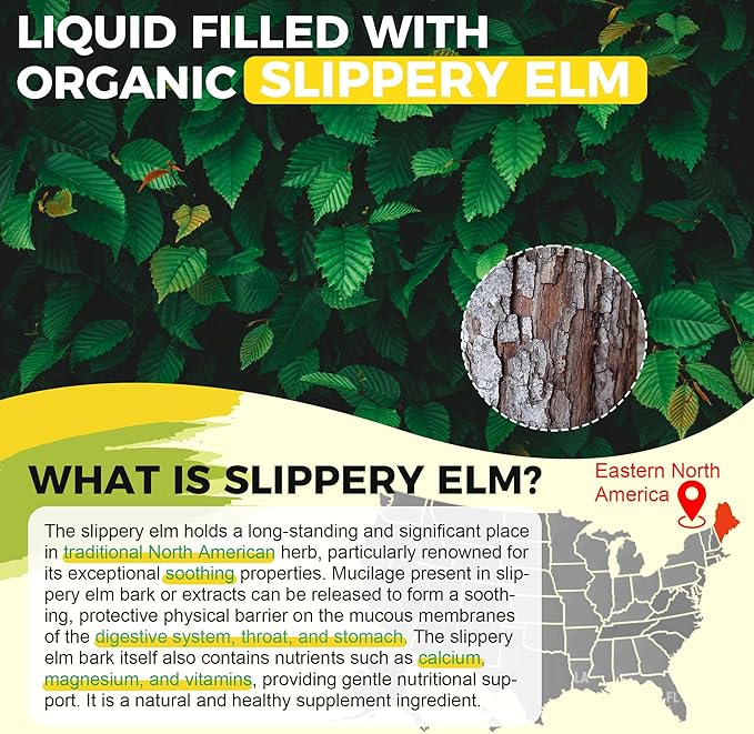 Slippery Elm Liquid Drops Marshmallow Root Slippery Elm Bark Tincture with DGL Licorice Extract Digestive Health Soothing Throat Support &amp Stomach Comfort Vegan 60ML
