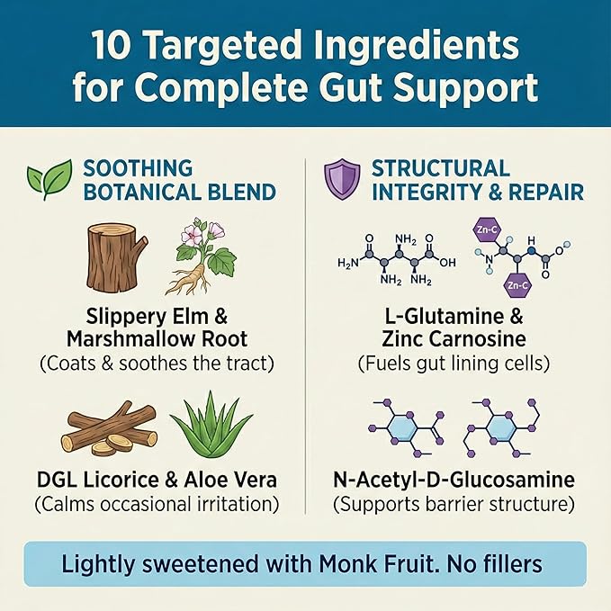 Balance ONE L-Glutamine Powder &amp Zinc Carnosine Supplement – Leaky Gut Repair Formula with Slippery Elm DGL Licorice Marshmallow &amp Aloe Vera – Digestive Lining Support – 1 Month Supply – Rev