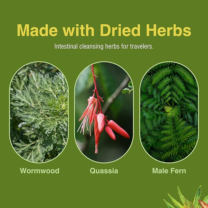 Herbs Etc. ParaFree - Gastrointestinal Support Supplement to Aid Intestinal Cleansing - Digestive Herbal Supplement with Wormwood Quassia &amp Male Fern - 60 Softgels (60 Servings)